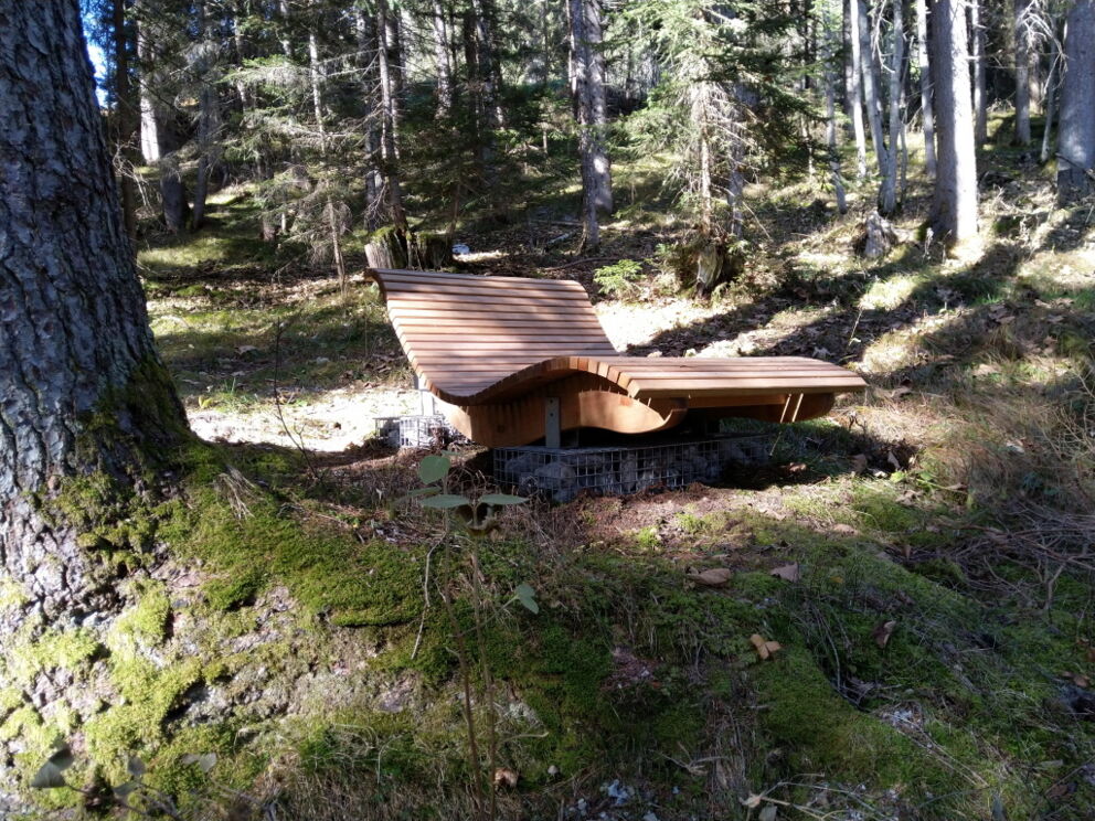 Kraftplatz und Liege für Silhouetten Bilder beim Wald-Spa in Holzgau