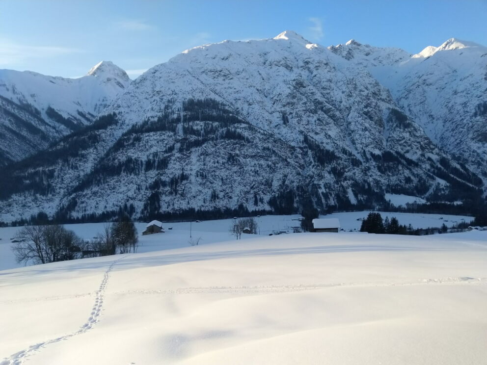 Wandern in Ruhe und mit viel Erholungsfaktor im Naturpark-Lechtal.