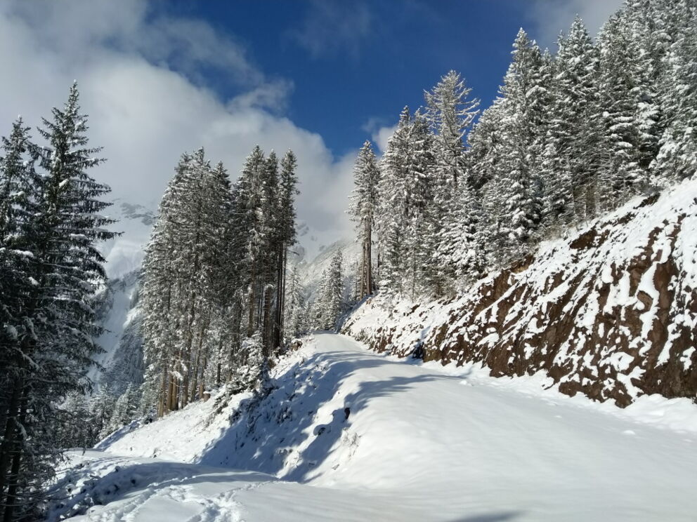 Ruhe genießen bei einsamen Winterwanderrouten ab der Dorfstube in Holzgau.