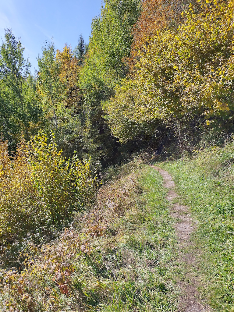 Wandern mit der Dorfstube an schönen Herbsttagen im Naturpark-Lechtal.